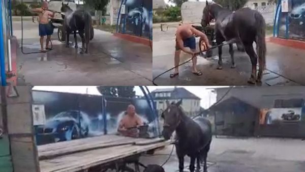 Dimineața Nebună: Un bărbat din Timiș și-a răcorit calul la o spălătorie auto - AUDIO
