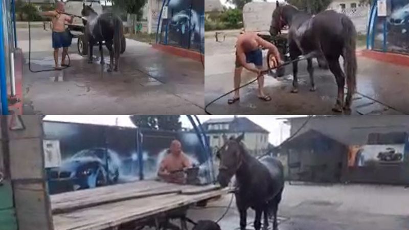 Dimineața Nebună: Un bărbat din Timiș și-a răcorit calul la o spălătorie auto - AUDIO