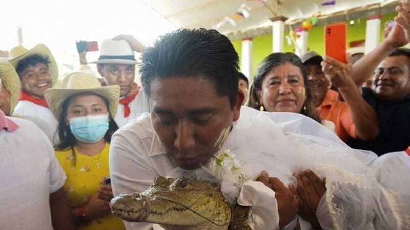 Dimineața Nebună. Un bărbat s-a &icirc;nsurat cu un crocodil. Totul face parte dintr-o ceremonie tradițională. Audio