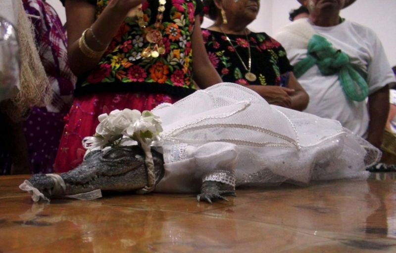 Dimineața Nebună. Un bărbat s-a însurat cu un crocodil. Totul face parte dintr-o ceremonie tradițională. Audio