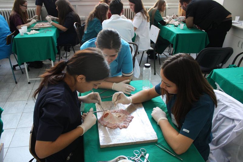 Admitere Medicină 2022: Calendarul examenelor