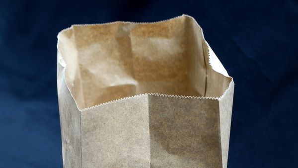 12 iulie 2022: Ziua pungilor de hârtie