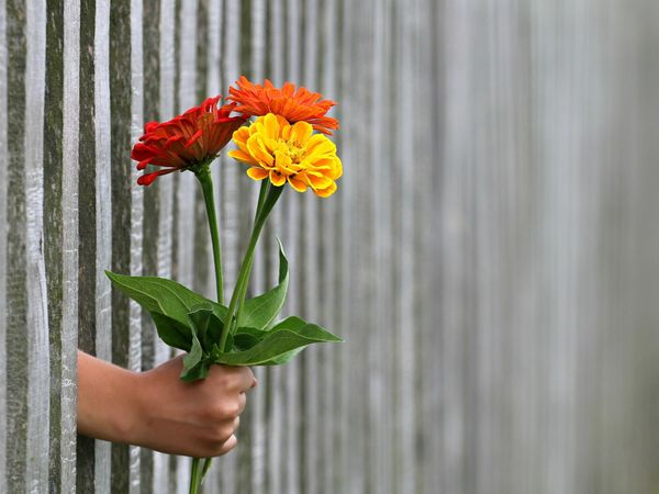  Bancul zilei de joi, 14 iulie 2022. Ce cadou vrea o femeie de la iubitul ei