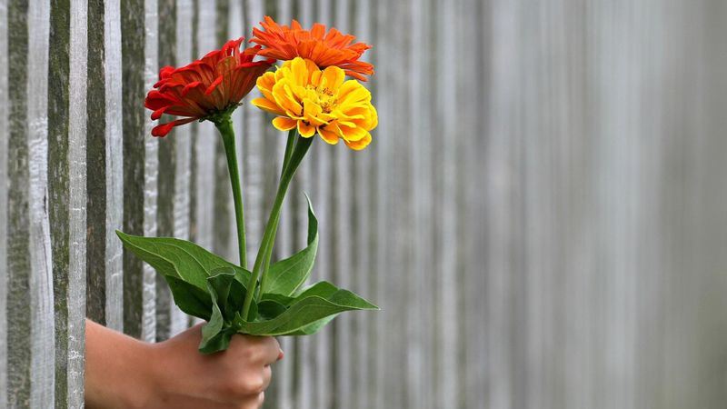  Bancul zilei de joi, 14 iulie 2022. Ce cadou vrea o femeie de la iubitul ei