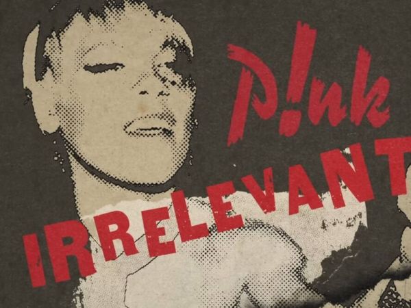 Pink a lansat &bdquo;Irrelevant", o piesă cu un mesaj mesaj social