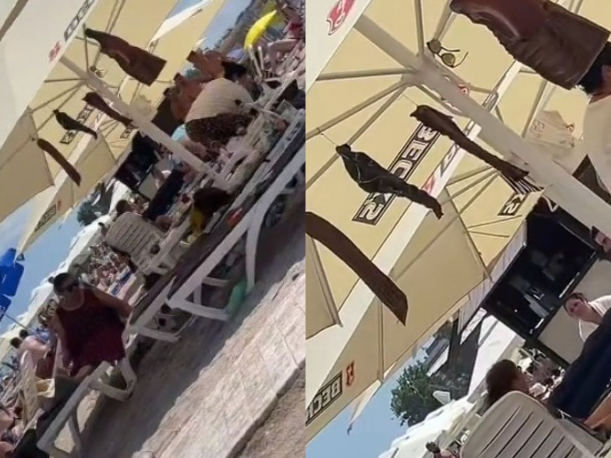 un turist a venit la Costinești cu șuncă afumată de acasă și a atârnat-o de umbrelă 