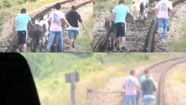 Dimineața Nebună: Un tren a fost oprit de doi ponei și un măgar pe calea ferată - AUDIO
