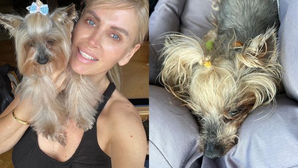 Andreea Bănică, noi detalii despre starea de sănătate a patrupedului ei: „Am avut niște zile foarte grele”