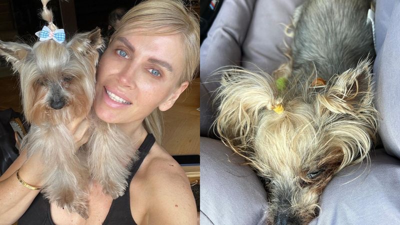 Andreea Bănică, noi detalii despre starea de sănătate a patrupedului ei: &bdquo;Am avut niște zile foarte grele&rdquo;