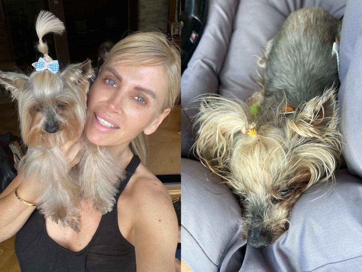 Andreea Bănică, noi detalii despre starea de sănătate a patrupedului ei: