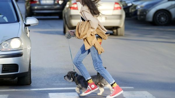 Codul rutier 2022: Cât timp vei avea permisul suspendat dacă nu acorzi prioritate la trecerea de pietoni