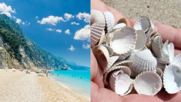 Dimineața Nebună: S-a certat cu soția și a plecat singur în Grecia, iar acum vrea să-i ia cadou de împăcare: „Voi ce credeți că mai trebuie pentru împacare?”. Audio