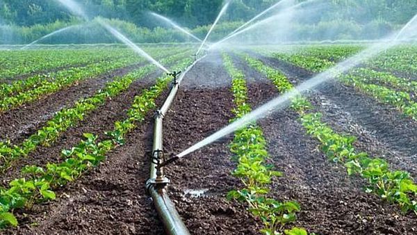 Dimineața Nebună: Fermier din Braşov, sancționat după ce a oprit cursul râului Bârsa ca să își salveze culturile: „Păi ce să fac, să se usuce cultura?” - AUDIO