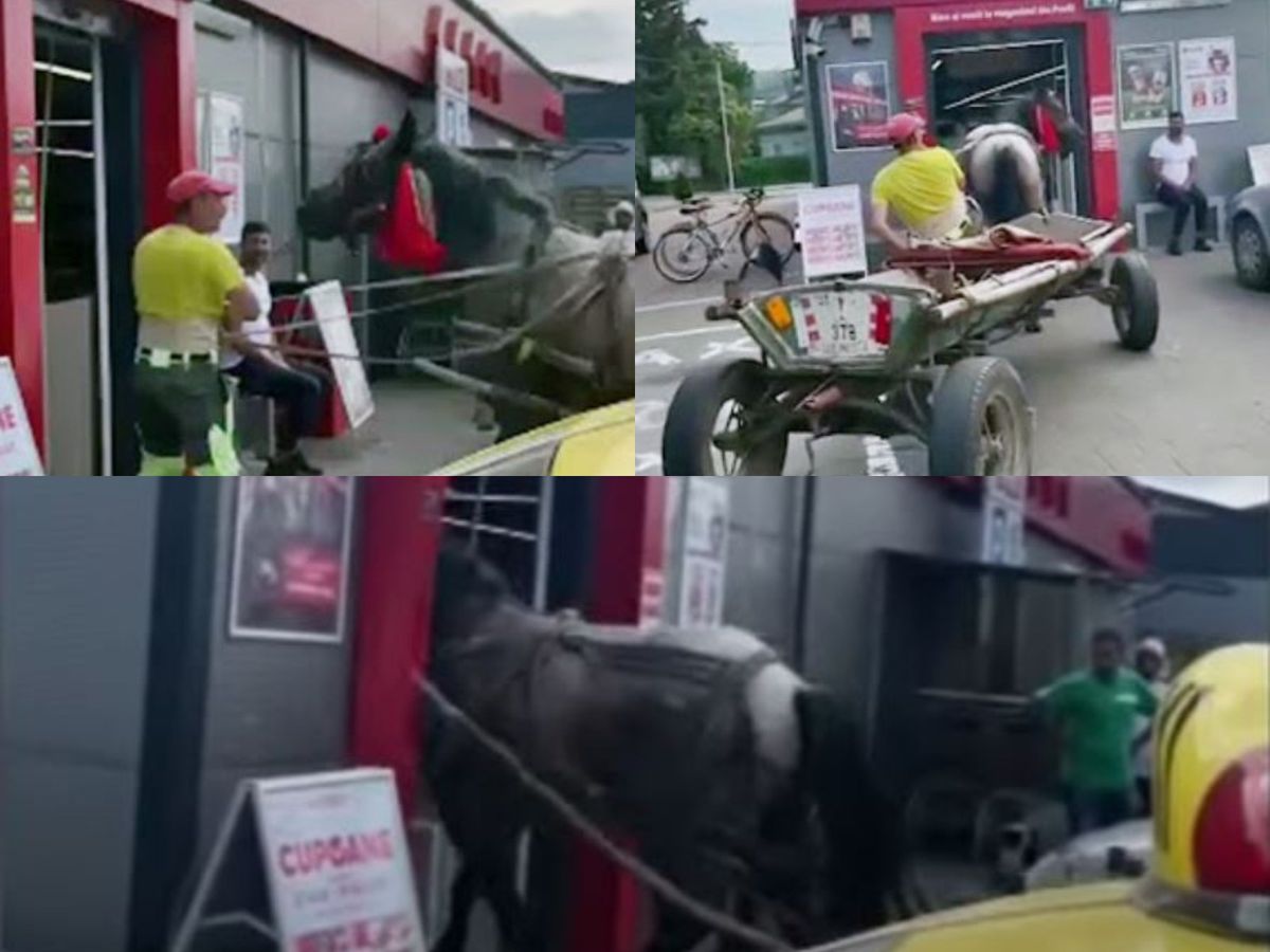 Un agent de pază a intrat cu calul și căruța în magazinul unde lucra