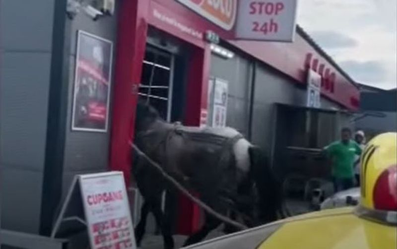 Un agent de pază a devenit viral pe Tik Tok, după ce a intrat cu calul și căruța în magazinul unde lucra: