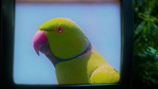 Calvin Harris, Normani, Tinashe și Offset au lansat piesa „New To You” - Versuri aici