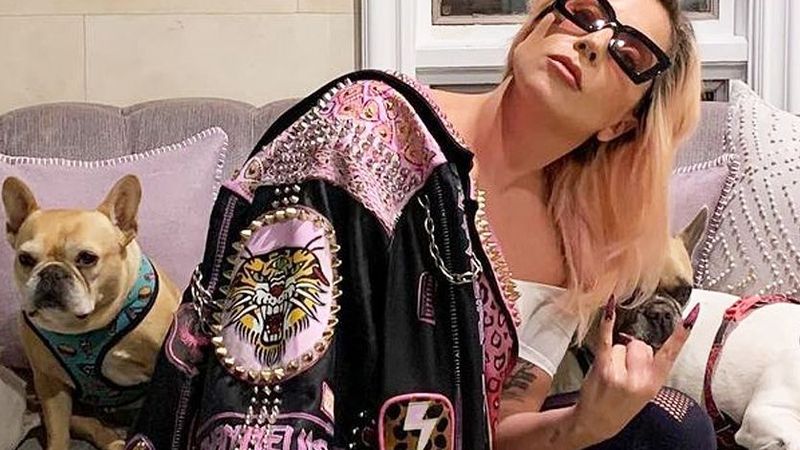 Unul dintre răpitorii c&acirc;inilor lui Lady Gaga a fost pedepsit cu 4 ani de &icirc;nchisoare. Ce se &icirc;nt&acirc;mplă cu celălalt răpitor