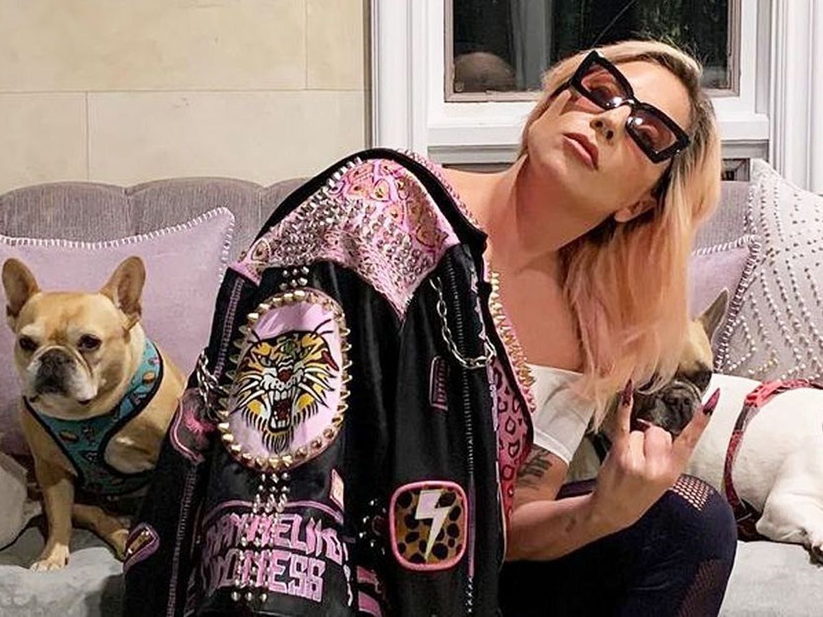 Unul dintre răpitorii câinilor lui Lady Gaga a fost pedepsit cu 4 ani de închisoare, iar celălalt este în continuare căutat de autorități 