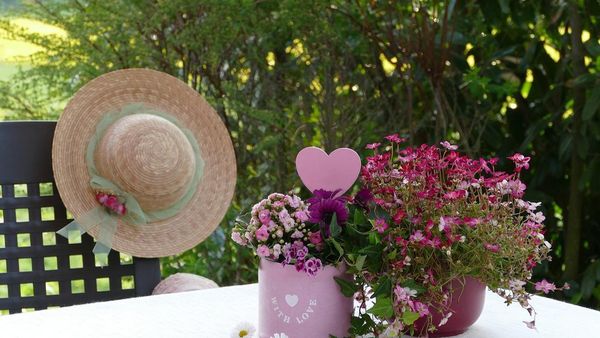 Bancul zilei de vineri, 5 august 2022: „Vecine, de ce-i cumperi soției tale întotdeauna flori în ghiveci?”