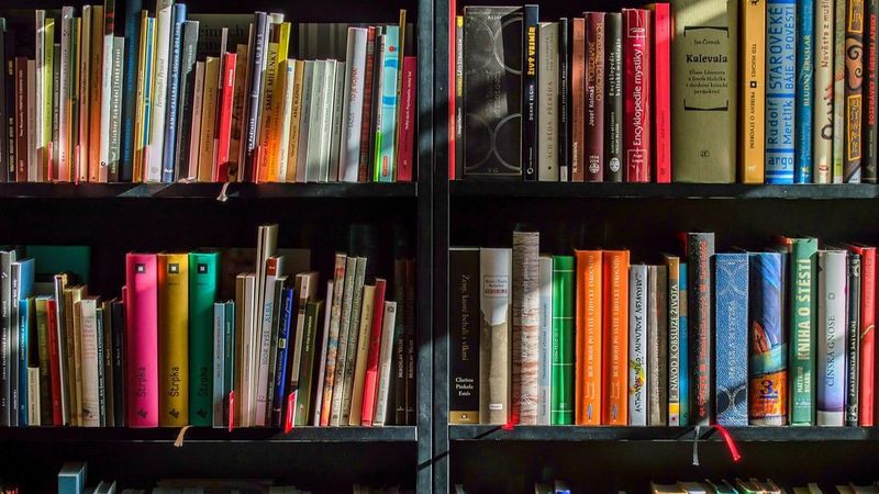 Bancul zilei de joi, 11 august 2022: O femeie căuta o carte &icirc;n bibliotecă. Soțul o &icirc;ntreabă: &bdquo;Ce cauți dragă?&rdquo;