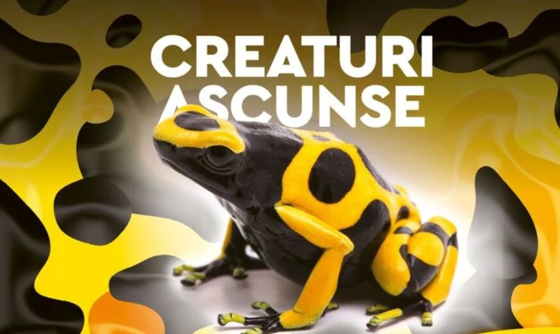 Ce faci în weekend?