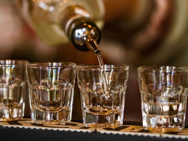 Bancul zilei de vineri, 12 august 2022: Un t&acirc;năr intră &icirc;ntr-un bar, fericit că se &icirc;nsoară. El dă de băut la toata lumea