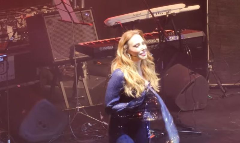 Iulia  Vântur, criticată de fanii români