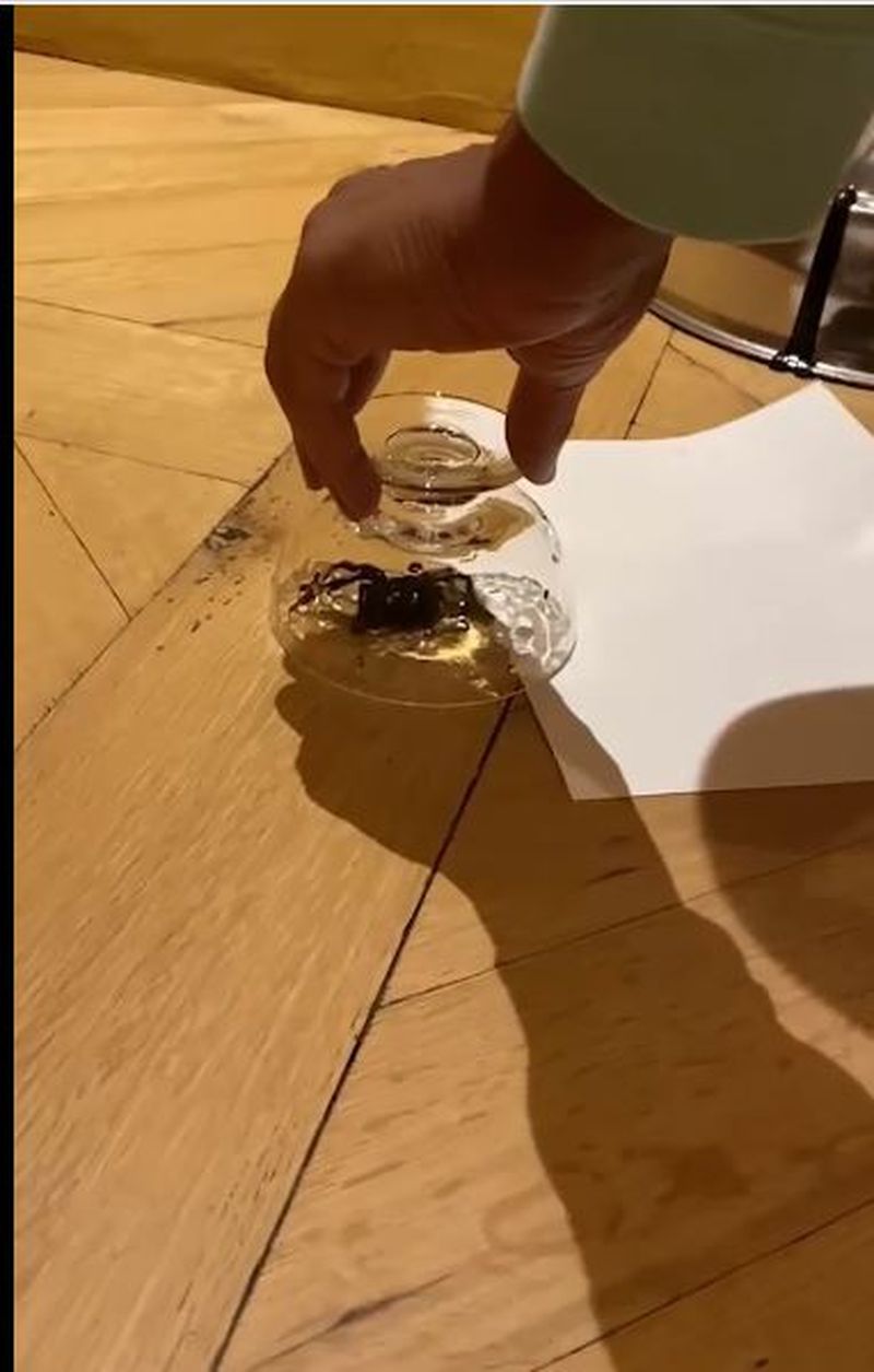 Will Smith, prima postare în mediul online după incidentul de la Premiile Oscar 