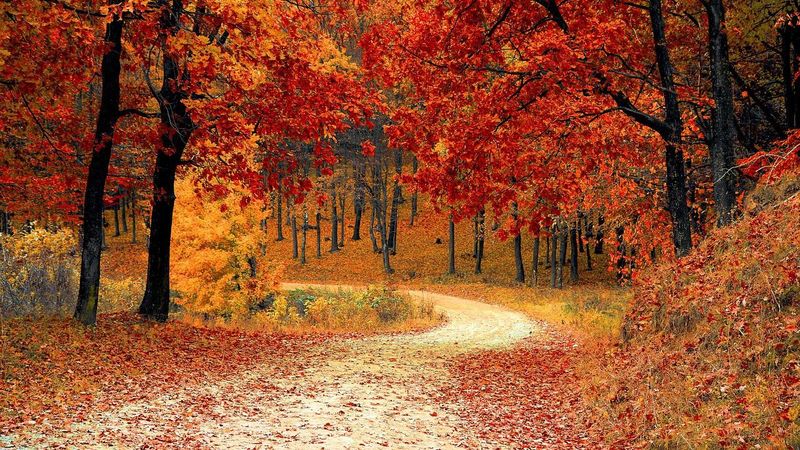 Vremea septembrie 2022: Prognoza meteo ANM. Cum va fi vremea &icirc;n prima lună de toamnă