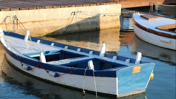 Bancul zilei de vineri, 26 august 2022: Un moldovean şi un oltean erau într-o barcă şi mâncau peşte: „Ca să devin mai deștept”