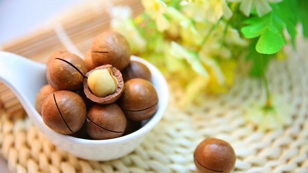 4 septembrie 2022: Ziua nucilor de Macadamia. Ce beneficii ne aduc?