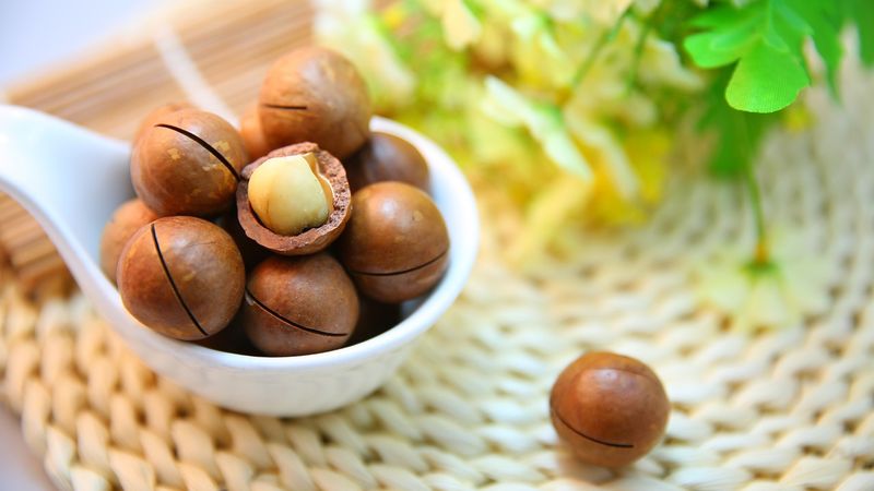 4 septembrie 2022: Ziua nucilor de Macadamia. Ce beneficii ne aduc?