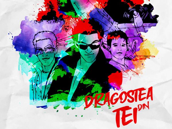 O-Zone - Dragostea din tei (Radu S&icirc;rbu Remix)