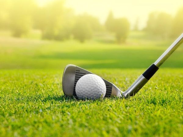 Bancul zilei de joi, 8 septembrie 2022: Bulă joacă golf cu un prieten