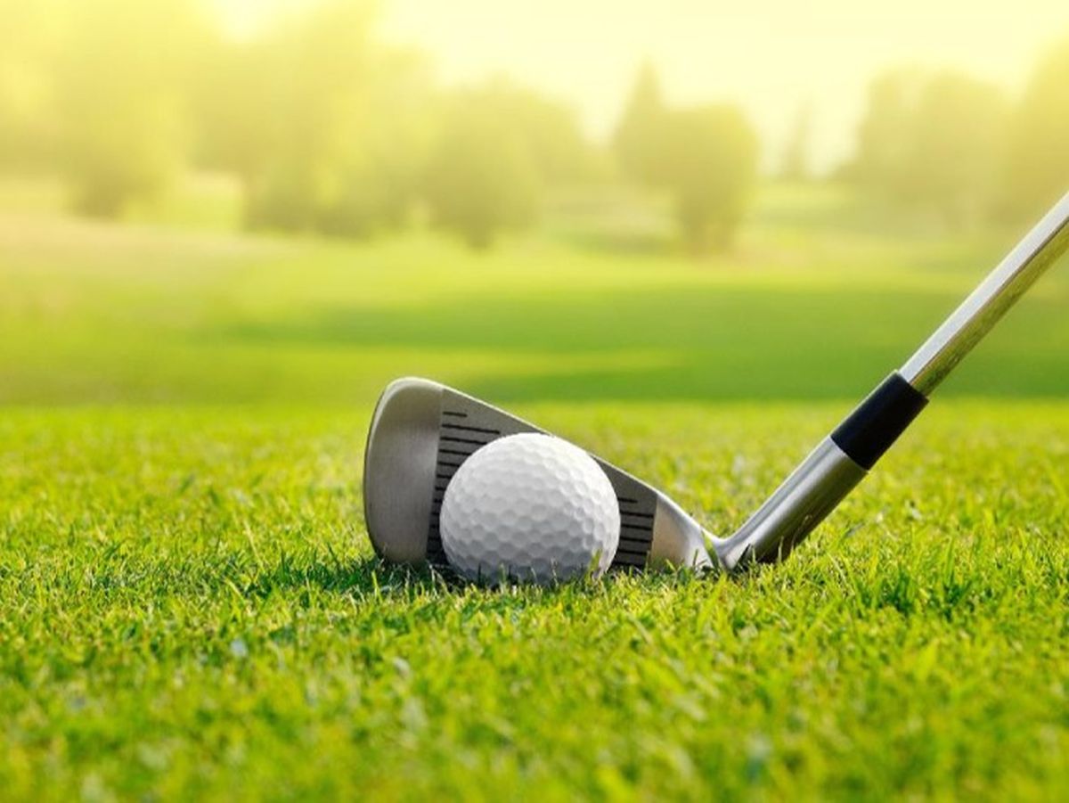 Bancul zilei de joi, 8 septembrie 2022: Bulă joacă golf cu un prieten