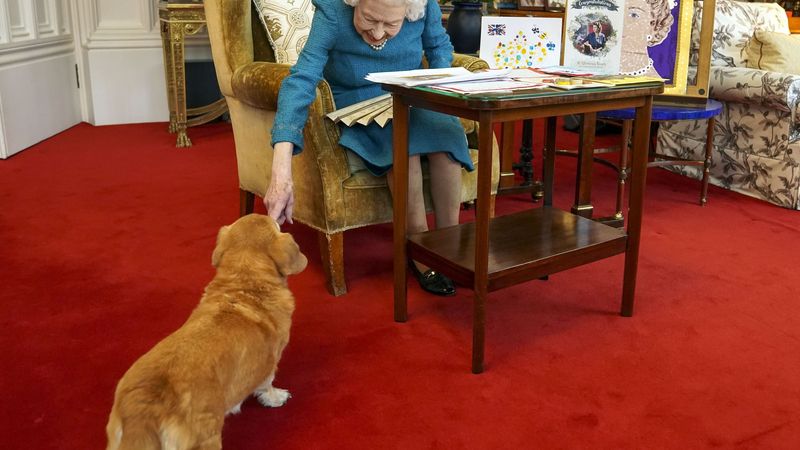 Ce se va &icirc;nt&acirc;mpla cu cei patru c&acirc;ini ai Reginei Elisabeta a II-a? Pentru Majestatea Sa, patrupezii erau &bdquo;familie&rdquo;