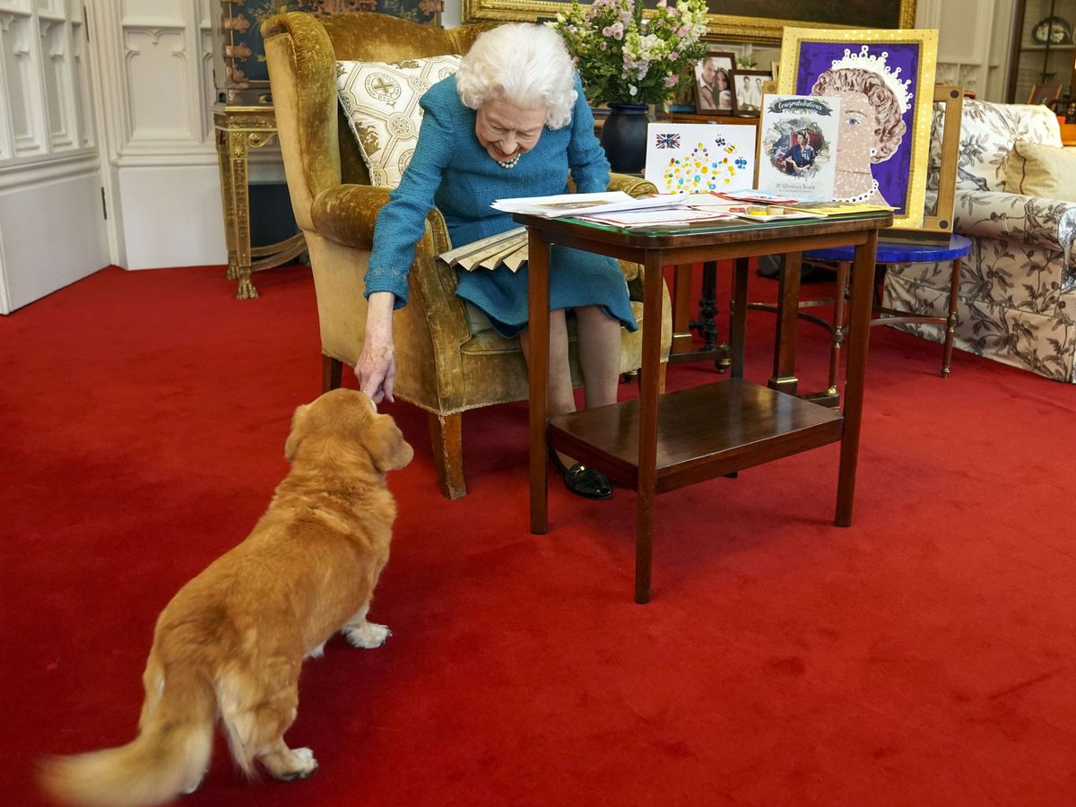 Ce se va întâmpla cu cei patru câini ai Reginei Elisabeta a II-a? Pentru Majestatea Sa, patrupezii erau „familie”