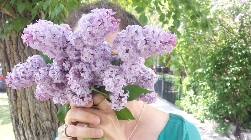 Un caz greu de crezut a avut loc în Austria! Un român a fost trimis direct în instanță după ce a fost prins furând liliac pentru soția lui