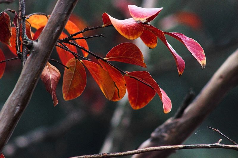 Echinocțiul de Toamnă 2022 