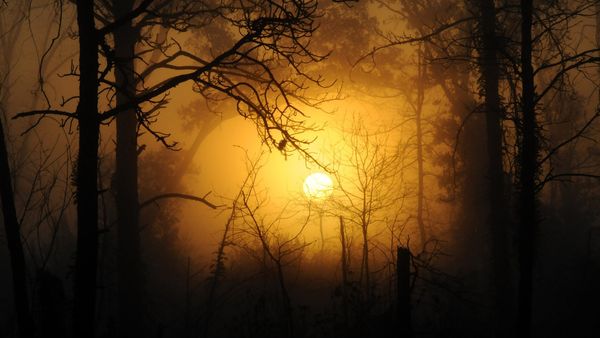 23 septembrie 2022: Echinocțiul de Toamnă. Tot ce trebuie să știi despre această dată