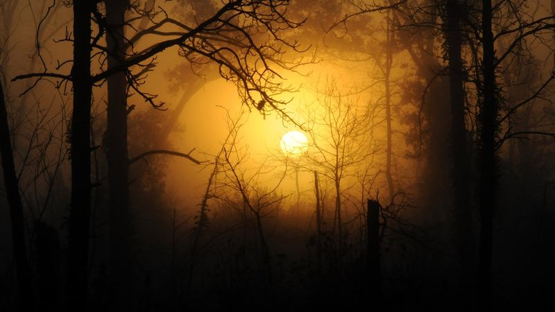 23 septembrie 2022: Echinocțiul de Toamnă. Tot ce trebuie să știi despre această dată