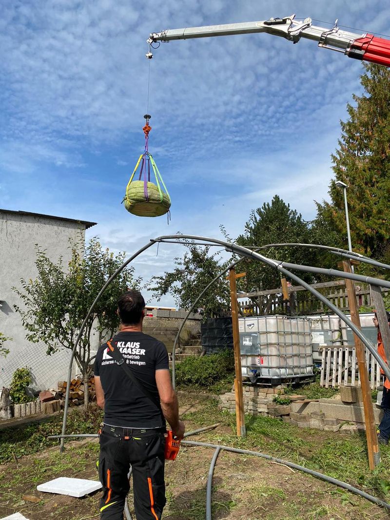 Un profesor din Germania a crescut în propria curte un dovleac de 588 de kilograme și l-a recoltat cu macaraua