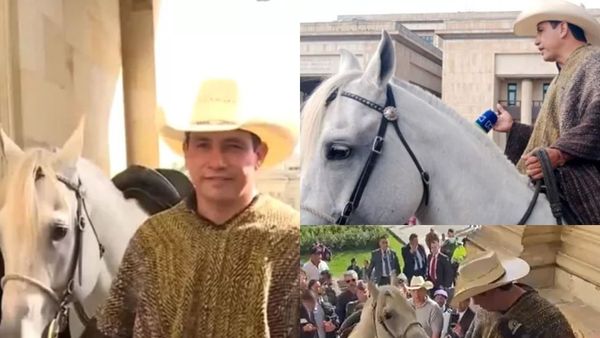 Dimineața Nebună: Un senator a intrat cu calul în Parlament! Cum și-a explicat gestul: „Dacă pisicile și câinii au voie, eu de ce nu pot intra cu animalul meu?”