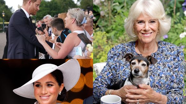 Prințul Harry nu o suportă pe regina consoartă, Camilla. Vezi care este motivul conflictului dintre Ducele de Sussex și soția tatălui său!