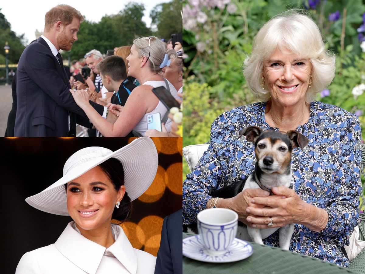 Prințul Harry nu o suportă pe regina consoartă, Camilla. Vezi care este motivului conflictului dintre Ducele de Sussex și soția tatălui său!