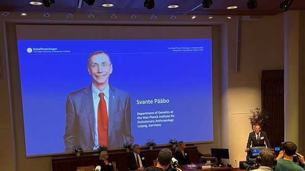 Paleogeneticianul suedez Svante Pääbo este laureatul premiului Nobel pentru medicină pe anul 2022