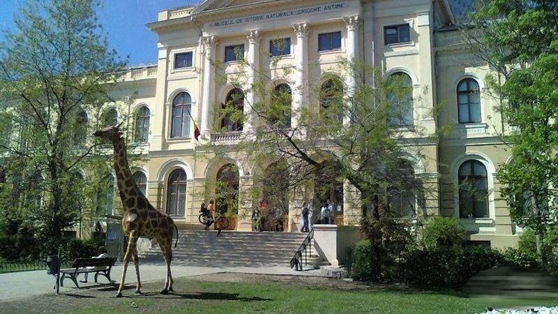 Intrare gratuită, marți, la muzeul Antipa, pentru rom&acirc;nii care au nume de animale: &bdquo;O călătorie imaginară &icirc;n jurul lumii&rdquo;. Val de glume &icirc;n online