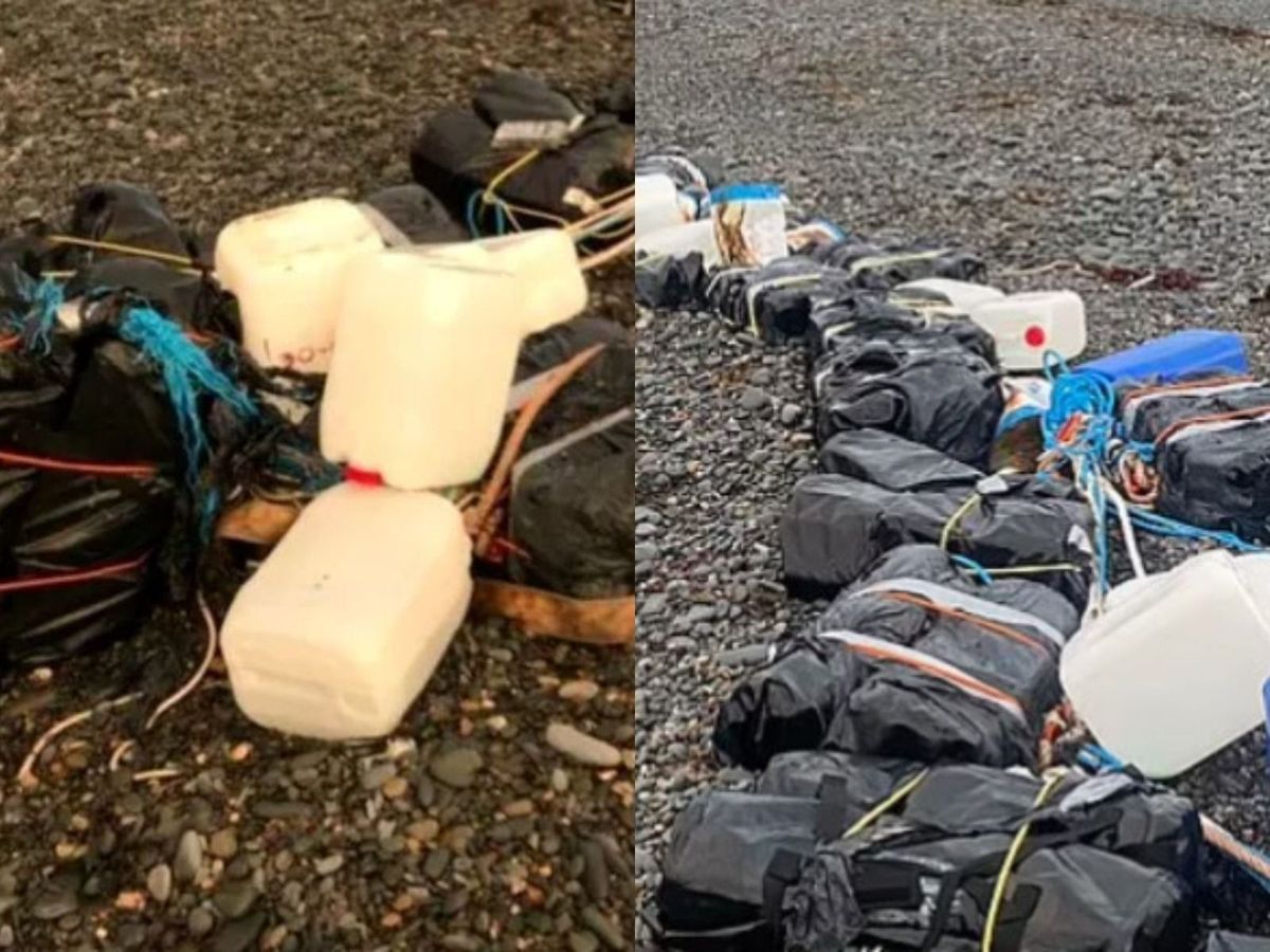 Un bărbat a găsit pe plajă peste 100 de milioane de euro