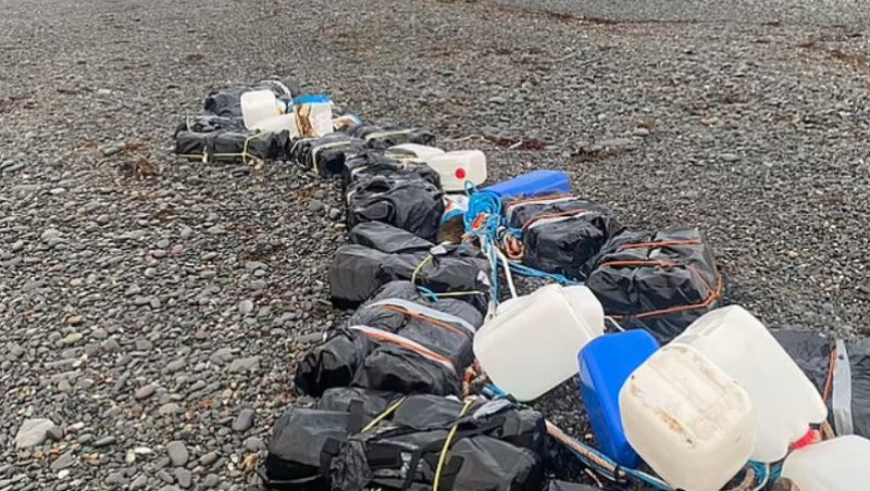 Un bărbat a găsit pe plajă peste 100 de milioane de euro