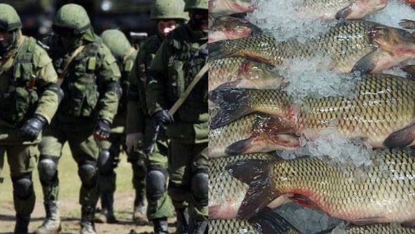 Dimineața Nebună: Rudele bărbaților ruși mobilizați de pe insula Sahalin primesc câte 5 kilograme de pește - AUDIO